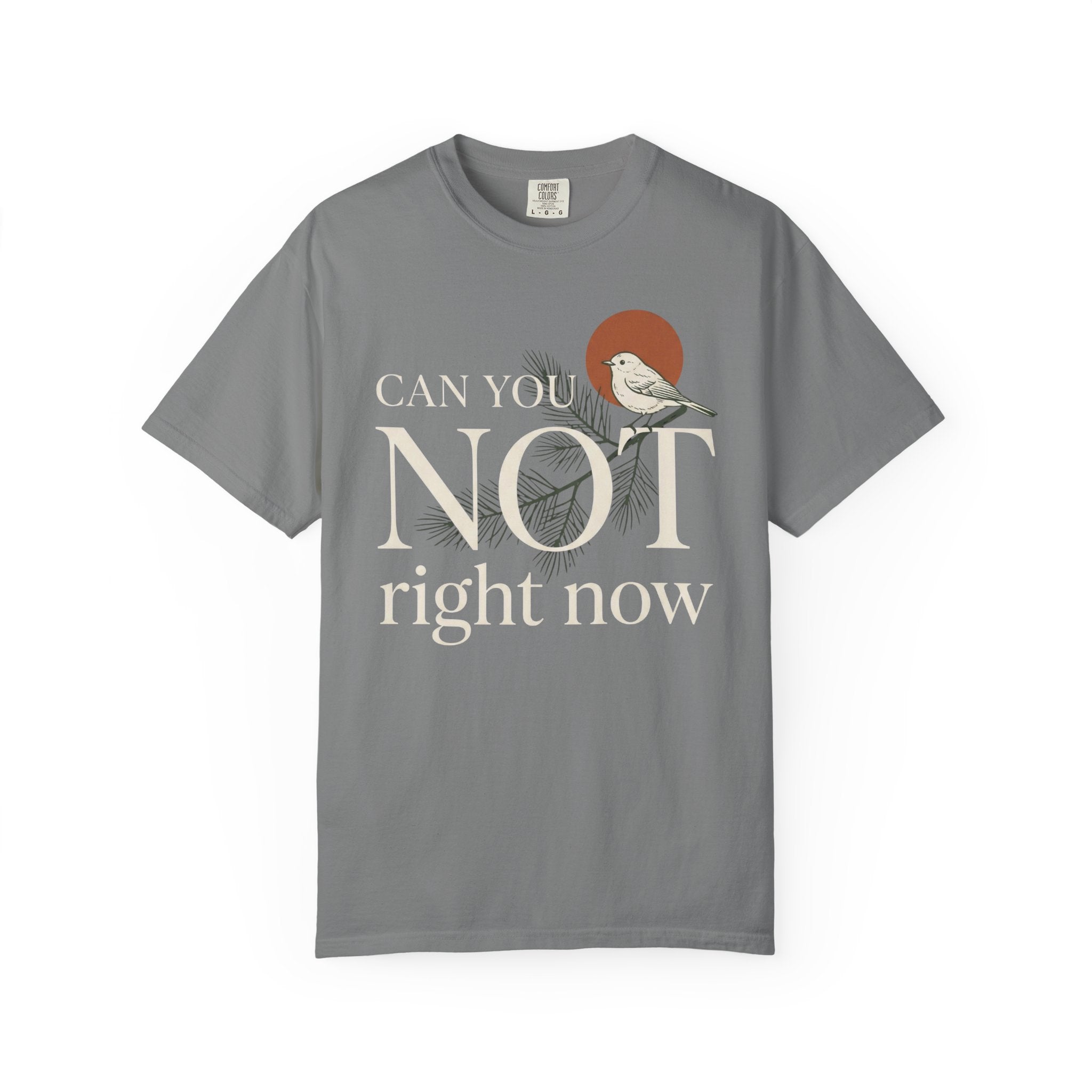 Can You Not Right Now Bird T-Shirt