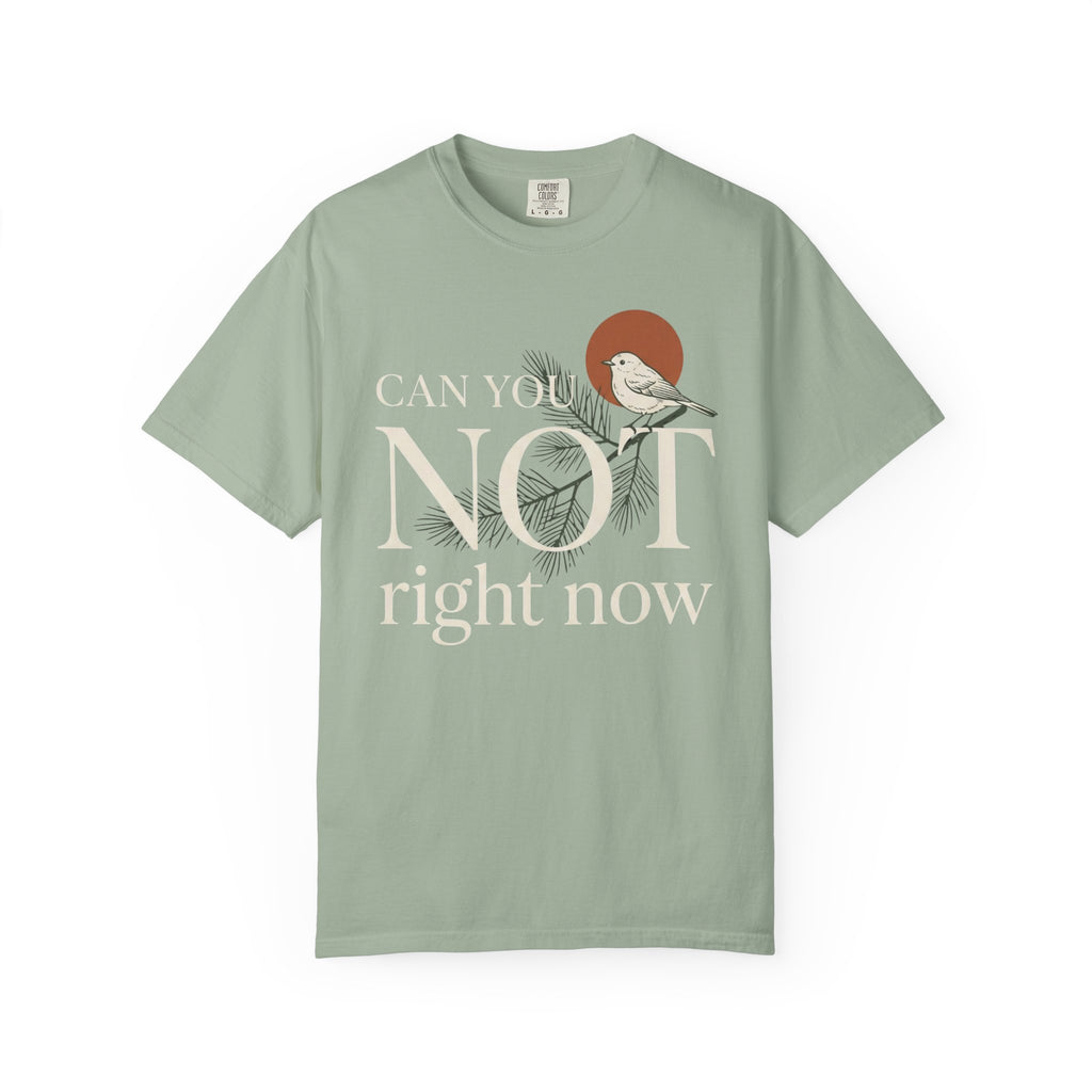 Can You Not Right Now Bird T-Shirt