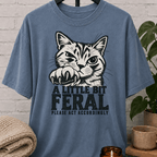 Sarcastic cat graphic T-shirt featuring a clawing tabby cat with the phrase “A Little Bit Feral Please Act Accordingly,” a funny cat lover shirt for socially selective people and antisocial humor fans.