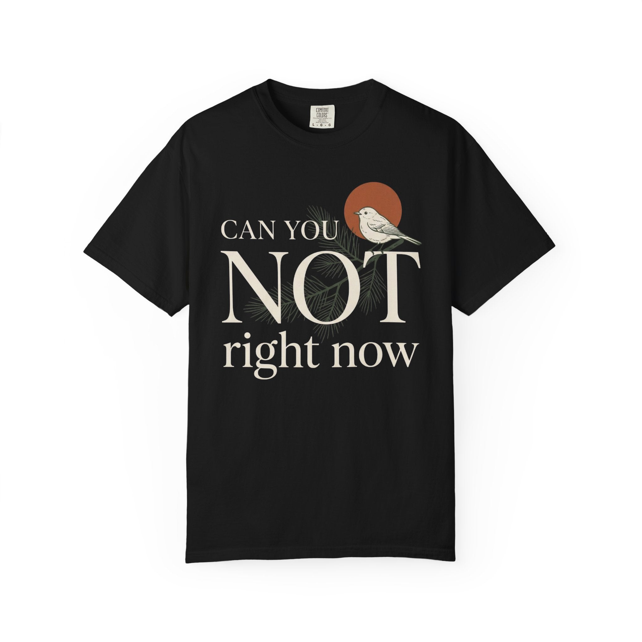 Can You Not Right Now Bird T-Shirt
