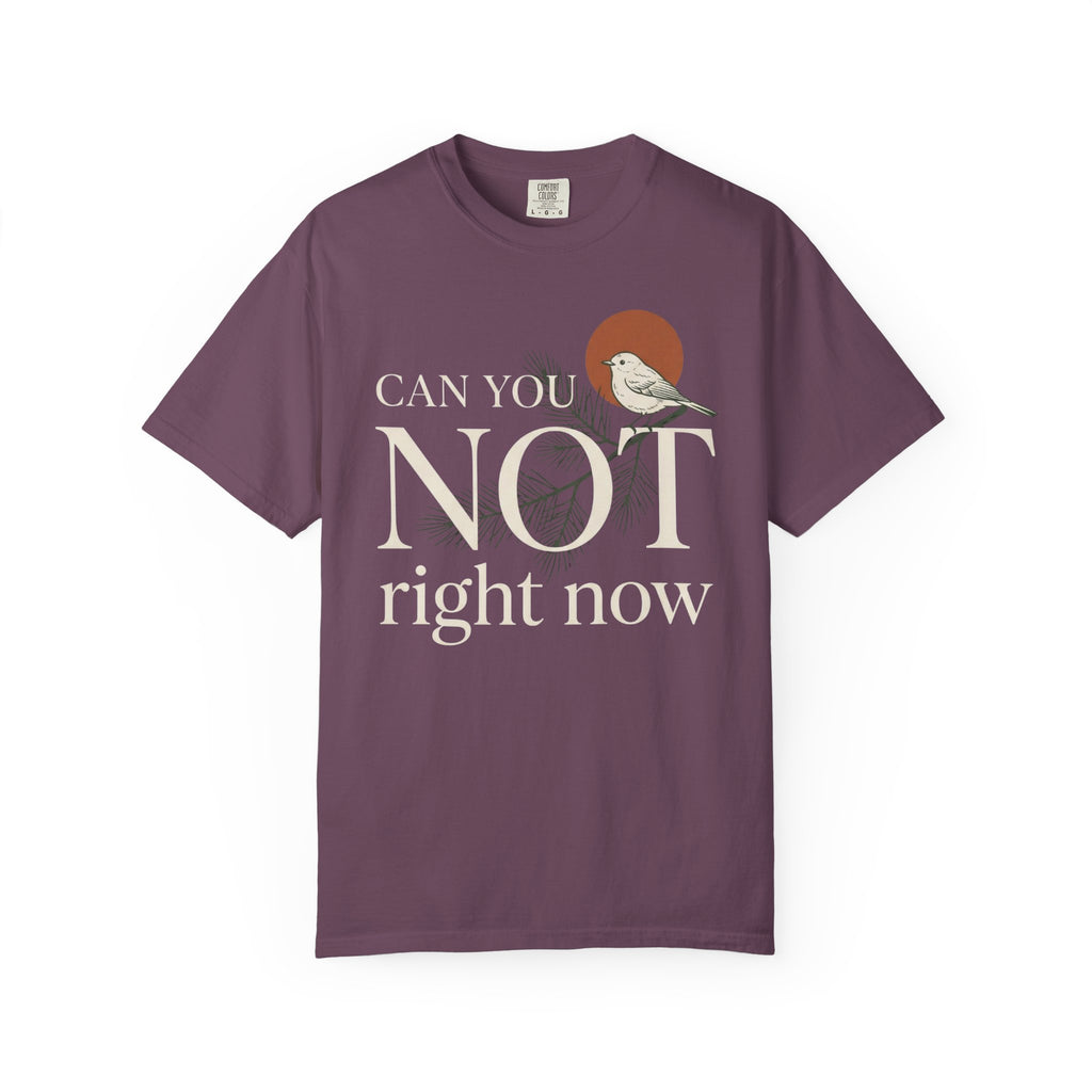 Can You Not Right Now Bird T-Shirt